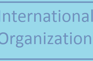 international organization